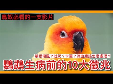 小動物死掉怎麼處理